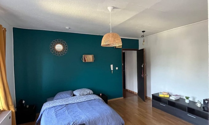 Sarrebourg Apartment | Torino, appartement Cosy