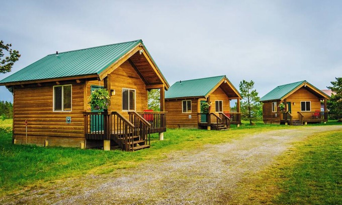 Last Chance Cabin | Cozy Mini-Cabin Surrounded by Nature's Beauty!