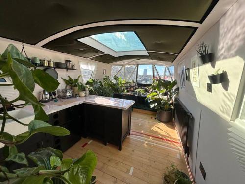Hackney Wick Apartment | The Floating Terrarium Teliegram_LovelyAppartmentsJean